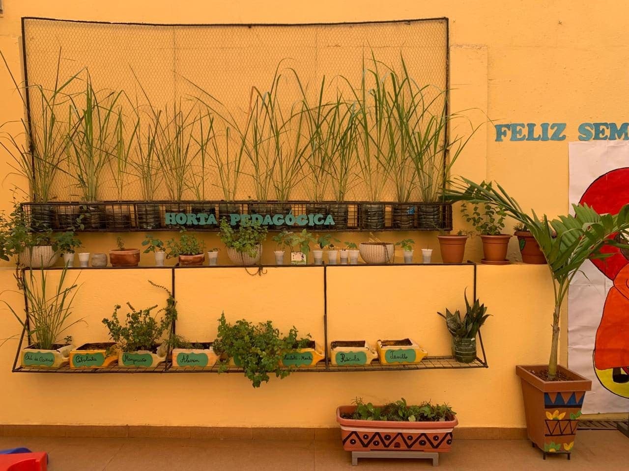 Horta pedagógica interior, na parede do pátio